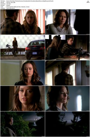 Terminator The Sarah Connor Chronicles S02 Bluray EAC3 5 1 1080p x265-iVy