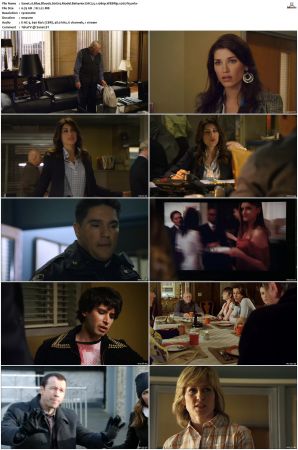 Blue Bloods S01 WEBRip EAC3 5 1 1080p x265-iVy