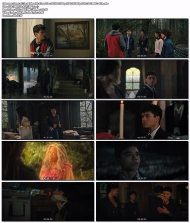 The Spiderwick Chronicles S01 1080p 10bit WEBRip 6CH x265 HEVC-PSA