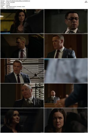 The Blacklist S01-S10 + Redemption DVDRip BDRip x264-Scene