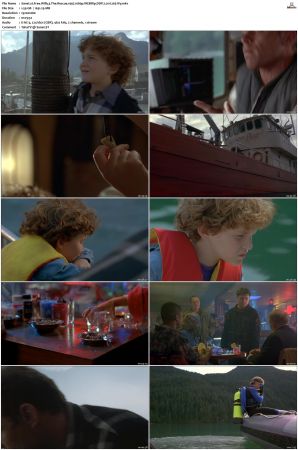 Free Willy 3 The Rescue 1997 1080p WEBRip DDP 2.0 H265-iVy