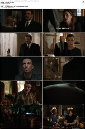 Blue Bloods S05 WEBRip EAC3 5 1 1080p x265-iVy