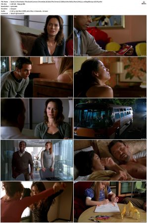 Terminator The Sarah Connor Chronicles S02 Bluray EAC3 5 1 1080p x265-iVy