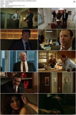 Blue Bloods S02 WEBRip EAC3 5 1 1080p x265-iVy