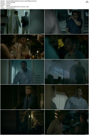 Bloodline S03 WEBRip EAC3 5.1 1080p x265-iVy