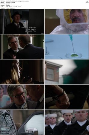 The Blacklist S01-S10 + Redemption DVDRip BDRip x264-Scene