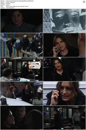 Law And Order SVU S25E09 1080p WEB x264-SOiNTA