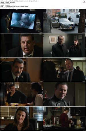 Blue Bloods S07 WEBRip EAC3 5 1 1080p x265-iVy