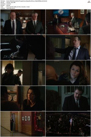 Blue Bloods S05 WEBRip EAC3 5 1 1080p x265-iVy
