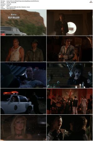 The Crow Wicked Prayer 2005 1080p BluRay x264-MOOVEE