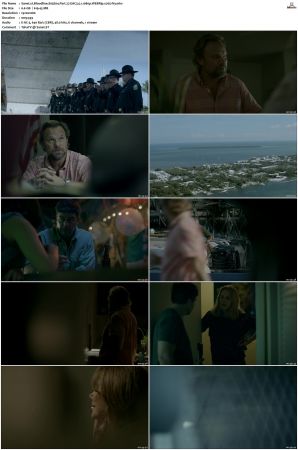 Bloodline S03 WEBRip EAC3 5.1 1080p x265-iVy