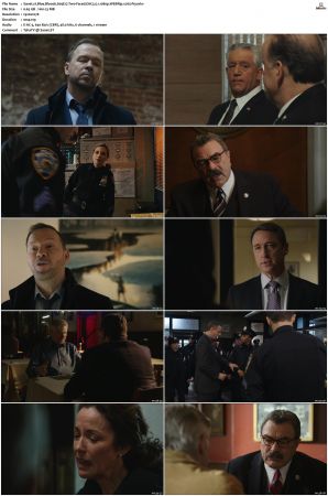 Blue Bloods S09 WEBRip EAC3 5 1 1080p x265-iVy