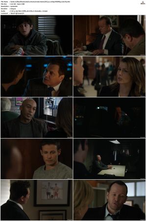 Blue Bloods S05 WEBRip EAC3 5 1 1080p x265-iVy