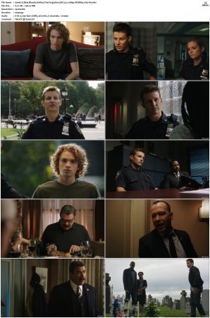 Blue Bloods S08 WEBRip EAC3 5 1 1080p x265-iVy