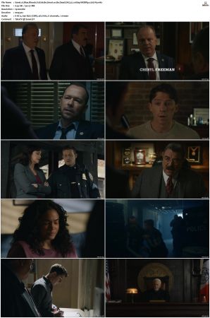 Blue Bloods S12 WEBRip EAC3 5 1 1080p x265-iVy