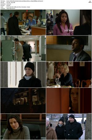 Blue Bloods S03 WEBRip EAC3 5 1 1080p x265-iVy