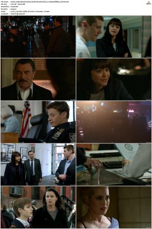 Blue Bloods S03 WEBRip EAC3 5 1 1080p x265-iVy