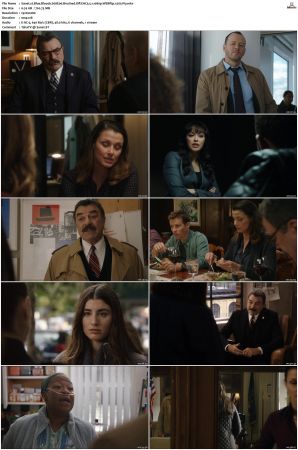 Blue Bloods S08 WEBRip EAC3 5 1 1080p x265-iVy
