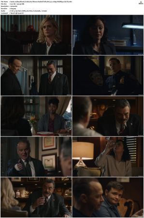 Blue Bloods S11 WEBRip EAC3 5 1 1080p x265-iVy