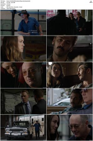 The Blacklist S01-S10 + Redemption DVDRip BDRip x264-Scene