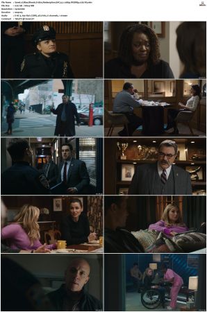 Blue Bloods S11 WEBRip EAC3 5 1 1080p x265-iVy