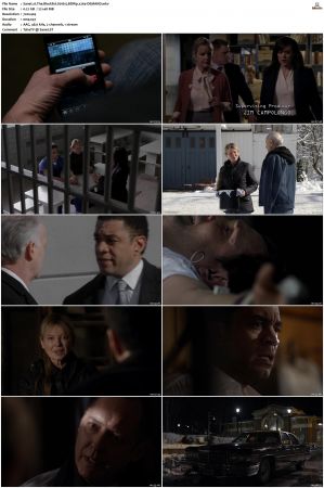 The Blacklist S01-S10 + Redemption DVDRip BDRip x264-Scene