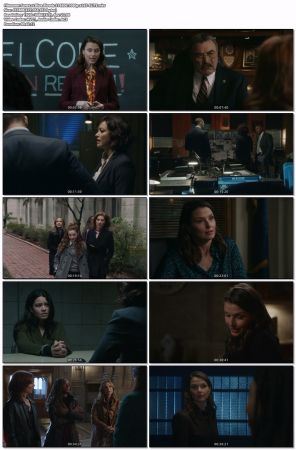 Blue Bloods S14E06 1080p x265-ELiTE