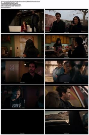 The Cleaning Lady S03E06 1080p HEVC x265-MeGusta