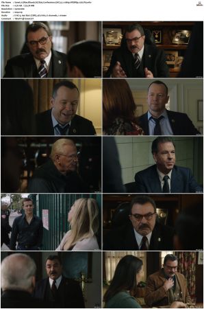 Blue Bloods S07 WEBRip EAC3 5 1 1080p x265-iVy
