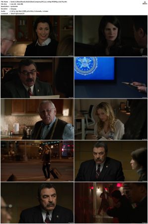 Blue Bloods S05 WEBRip EAC3 5 1 1080p x265-iVy