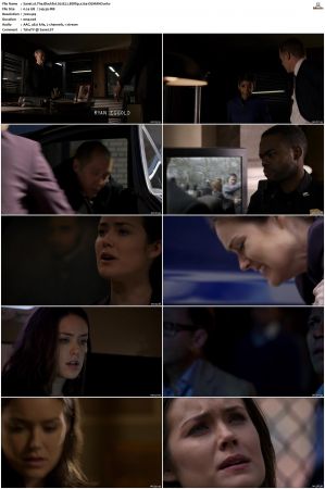 The Blacklist S01-S10 + Redemption DVDRip BDRip x264-Scene