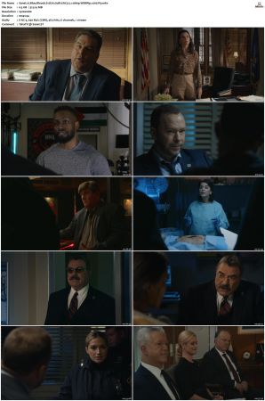 Blue Bloods S12 WEBRip EAC3 5 1 1080p x265-iVy