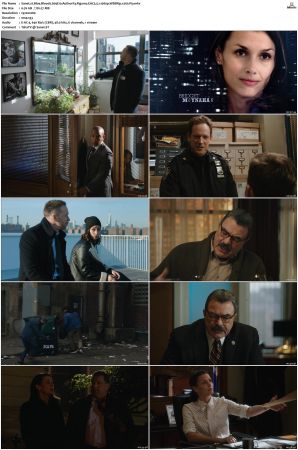 Blue Bloods S09 WEBRip EAC3 5 1 1080p x265-iVy