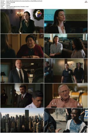 Blue Bloods S07 WEBRip EAC3 5 1 1080p x265-iVy
