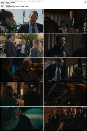 Blue Bloods S13 WEBRip EAC3 5 1 1080p x265-iVy