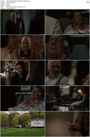 The Blacklist S01-S10 + Redemption DVDRip BDRip x264-Scene