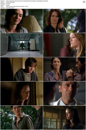 Terminator The Sarah Connor Chronicles S01 Bluray EAC3 5 1 1080p x265-iVy