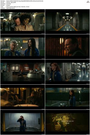 Fallout S01 1080p AMZN WEB-DL DDP5 1 Atmos H 264-FLUX