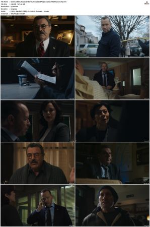 Blue Bloods S11 WEBRip EAC3 5 1 1080p x265-iVy