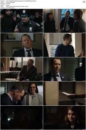 Blue Bloods S08 WEBRip EAC3 5 1 1080p x265-iVy