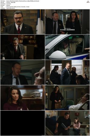 Blue Bloods S08 WEBRip EAC3 5 1 1080p x265-iVy