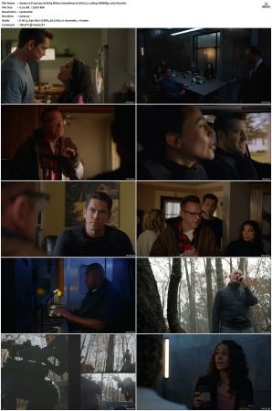True Lies S01 WEBRip EAC3 5.1 1080p x265-iVy