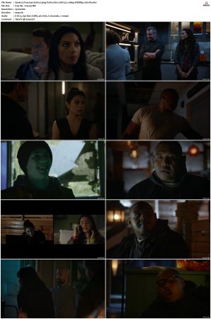 True Lies S01 WEBRip EAC3 5.1 1080p x265-iVy