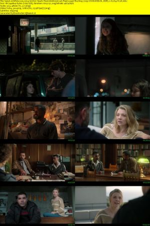 White Lies 2024 S01 720p STAN WEB-DL DDP5.1 H264-FLUX