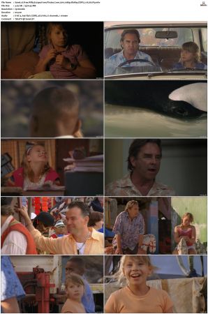 Free Willy Escape from Pirates Cove 2010 1080p BluRay DDP 5.1 H265-iVy