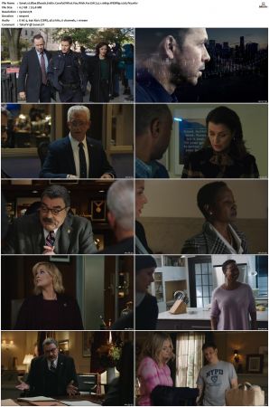 Blue Bloods S10 WEBRip EAC3 5.1 1080p x265-iVy