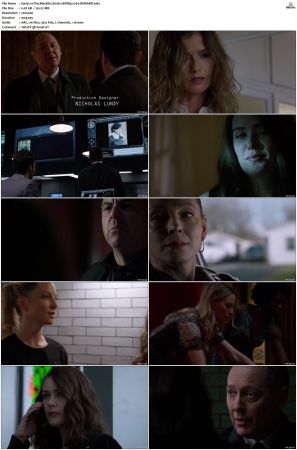 The Blacklist S01-S10 + Redemption DVDRip BDRip x264-Scene