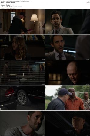 The Blacklist S01-S10 + Redemption DVDRip BDRip x264-Scene