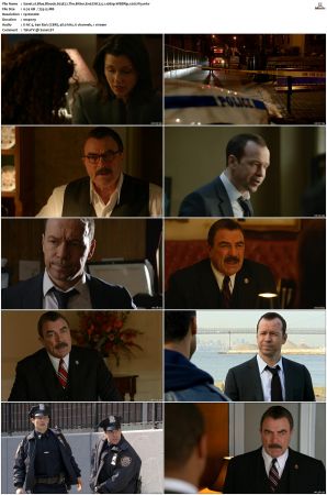 Blue Bloods S03 WEBRip EAC3 5 1 1080p x265-iVy