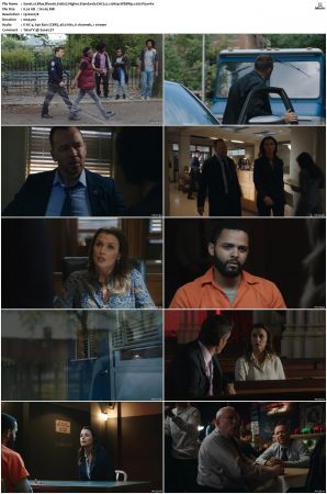 Blue Bloods S10 WEBRip EAC3 5.1 1080p x265-iVy